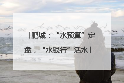 肥城：“水预算”定盘，“水银行”活水