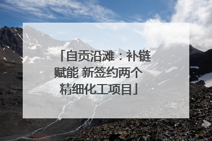 自贡沿滩：补链赋能 新签约两个精细化工项目