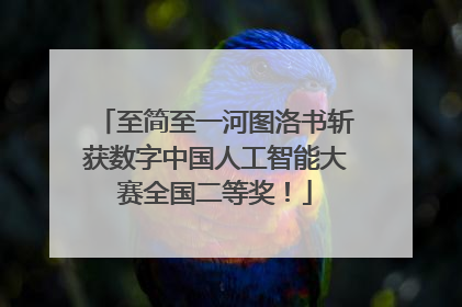 至简至一河图洛书斩获数字中国人工智能大赛全国二等奖！