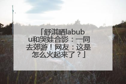 舒淇晒labubu和哭娃合影：一同去郊游！网友：这是怎么火起来了？