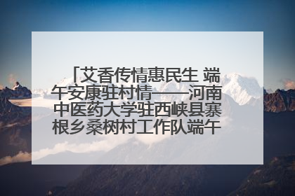 艾香传情惠民生 端午安康驻村情——河南中医药大学驻西峡县寨根乡桑树村工作队端午中医惠民记