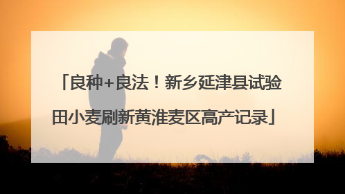 良种+良法！新乡延津县试验田小麦刷新黄淮麦区高产记录