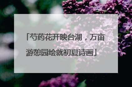 芍药花开映台湖，万亩游憩园绘就初夏诗画