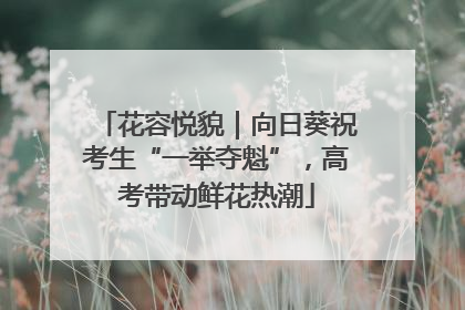 花容悦貌｜向日葵祝考生“一举夺魁”，高考带动鲜花热潮