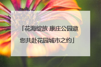 花海绽放 康庄公园邀您共赴花园城市之约