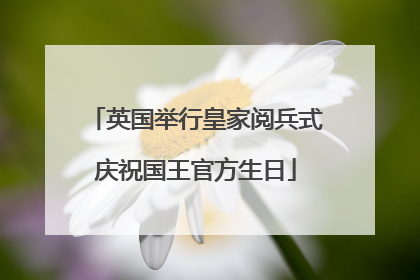 英国举行皇家阅兵式庆祝国王官方生日