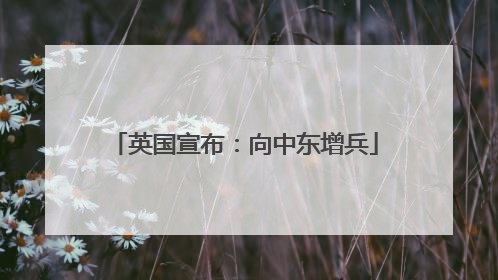 英国宣布：向中东增兵