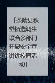 茶陵县秩堂镇选调生联合多部门开展安全宣讲进校园活动