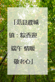 范县濮城镇：粽香迎端午 情暖敬老心