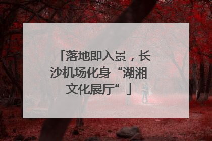 落地即入景，长沙机场化身“湖湘文化展厅”