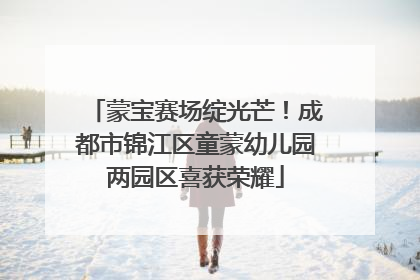 蒙宝赛场绽光芒！成都市锦江区童蒙幼儿园两园区喜获荣耀