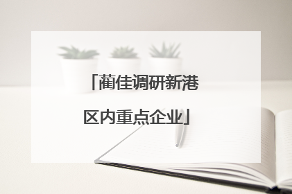 蔺佳调研新港区内重点企业