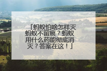 蚂蚁怕啥怎样灭蚂蚁不留痕？蚂蚁用什么药能彻底消灭？答案在这！