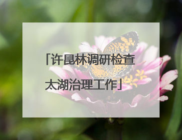 许昆林调研检查太湖治理工作