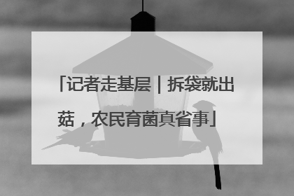 记者走基层｜拆袋就出菇，农民育菌真省事