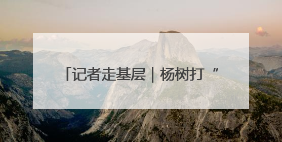 记者走基层｜杨树打“点滴” 来年抑飞絮