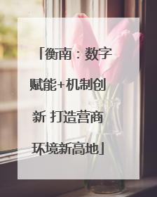 衡南：数字赋能+机制创新 打造营商环境新高地