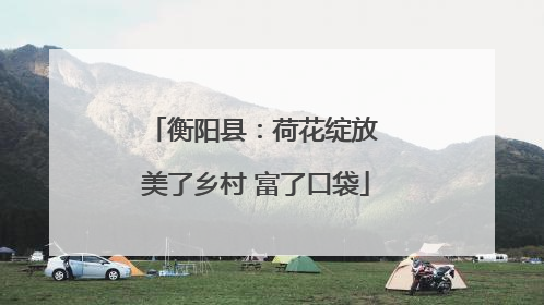 衡阳县：荷花绽放 美了乡村 富了口袋