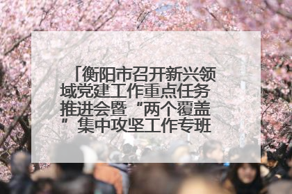 衡阳市召开新兴领域党建工作重点任务推进会暨“两个覆盖”集中攻坚工作专班 第一次会议