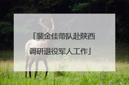 裴金佳带队赴陕西调研退役军人工作