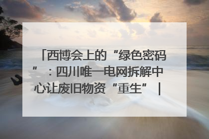 西博会上的“绿色密码”：四川唯一电网拆解中心让废旧物资“重生”｜西博寻“新”记
