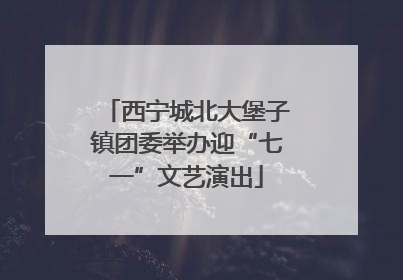 西宁城北大堡子镇团委举办迎“七一”文艺演出