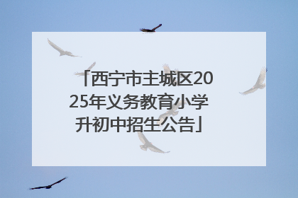 西宁市主城区2025年义务教育小学升初中招生公告