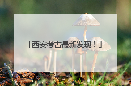 西安考古最新发现！