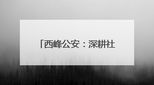 西峰公安：深耕社区“责任田” 筑牢治理“压舱石”