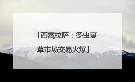西藏拉萨：冬虫夏草市场交易火爆