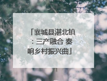 襄城县湛北镇：三产融合 奏响乡村振兴曲
