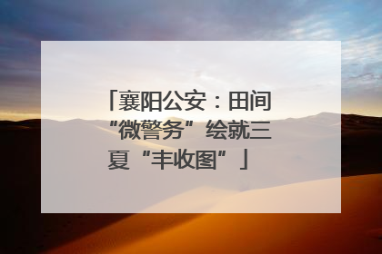 襄阳公安：田间“微警务”绘就三夏“丰收图”