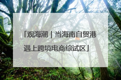 观海潮｜当海南自贸港遇上跨境电商综试区