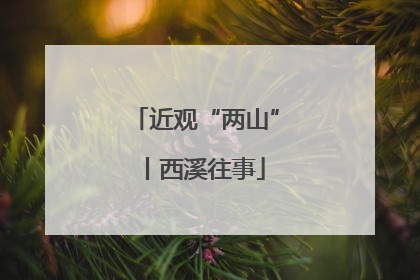 近观“两山”丨西溪往事