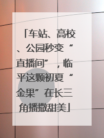 车站、高校、公园秒变“直播间”，临平这颗初夏“金果”在长三角播撒甜美
