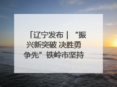 辽宁发布｜“振兴新突破 决胜勇争先”铁岭市坚持“项目为王”推进经济高质量发展
