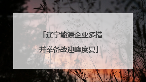 辽宁能源企业多措并举备战迎峰度夏