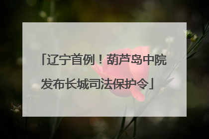 辽宁首例！葫芦岛中院发布长城司法保护令