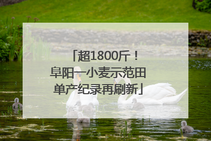超1800斤！阜阳一小麦示范田单产纪录再刷新
