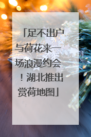 足不出户与荷花来一场浪漫约会！湖北推出赏荷地图