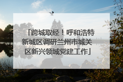 跨城取经！呼和浩特新城区调研兰州市城关区新兴领域党建工作