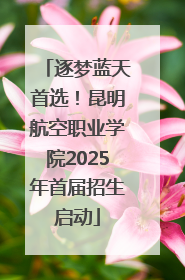 逐梦蓝天首选！昆明航空职业学院2025年首届招生启动