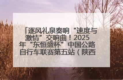 逐风礼泉奏响“速度与激情”交响曲！2025年“东恒盛杯”中国公路自行车联赛第五站（陕西·礼泉站）正式开赛
