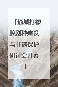 通城打锣腔剧种建设与非遗保护研讨会开幕