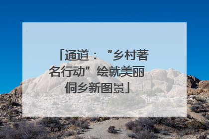 通道：“乡村著名行动”绘就美丽侗乡新图景