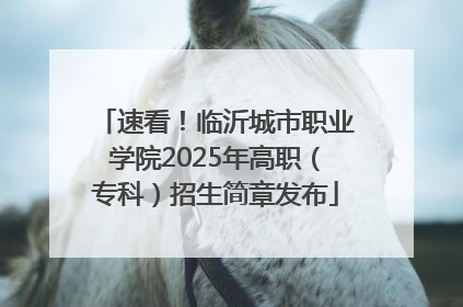 速看！临沂城市职业学院2025年高职（专科）招生简章发布