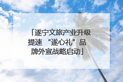 遂宁文旅产业升级提速 “遂心礼”品牌外宣战略启动