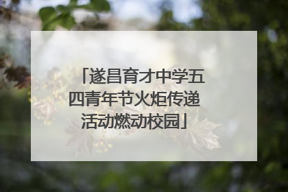 遂昌育才中学五四青年节火炬传递活动燃动校园