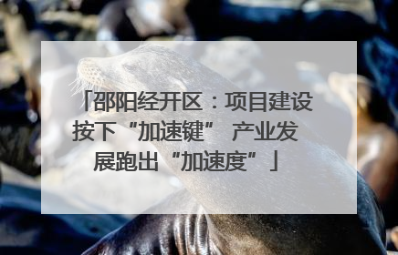 邵阳经开区：项目建设按下“加速键” 产业发展跑出“加速度”