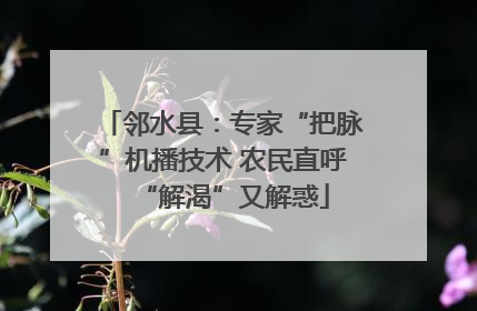邻水县：专家“把脉”机播技术 农民直呼“解渴”又解惑